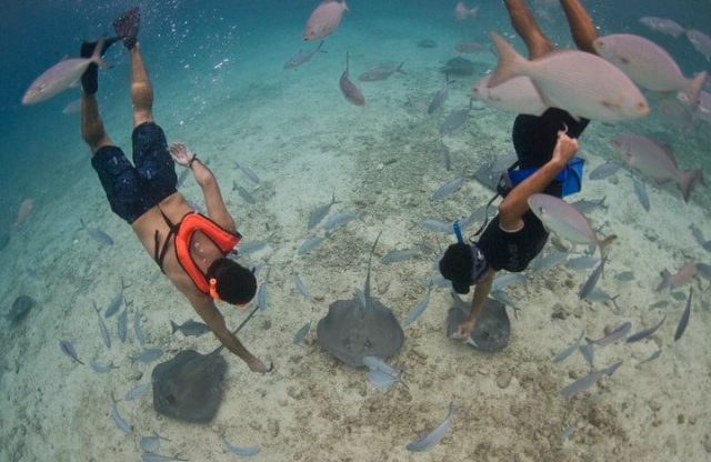  Snorkeling e incontri 